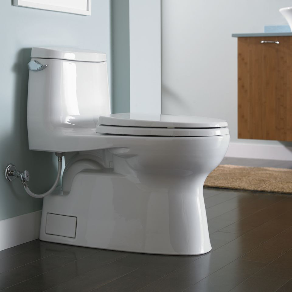 Toto Carlyle 1.28 GPF Elongated OnePiece Toilet & Reviews Wayfair